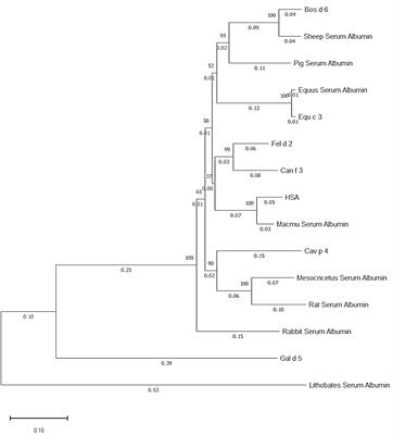 Albumins represent highly cross-reactive animal allergens